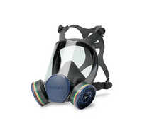 Maschera Pieno Facciale Raccordo Easylock Serie 9000 Issa Mx9002