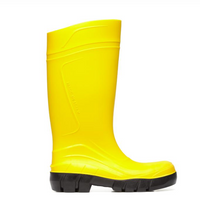 HURRICANE GIALLO S5 CI SRC